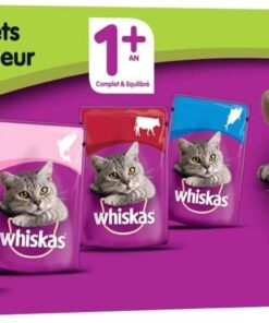 Alimentation chat sachets whiskas gelée